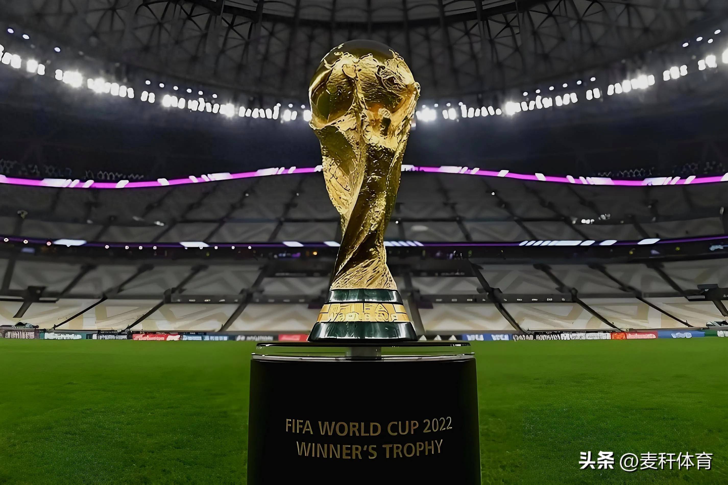 而年长球员 而年长球员